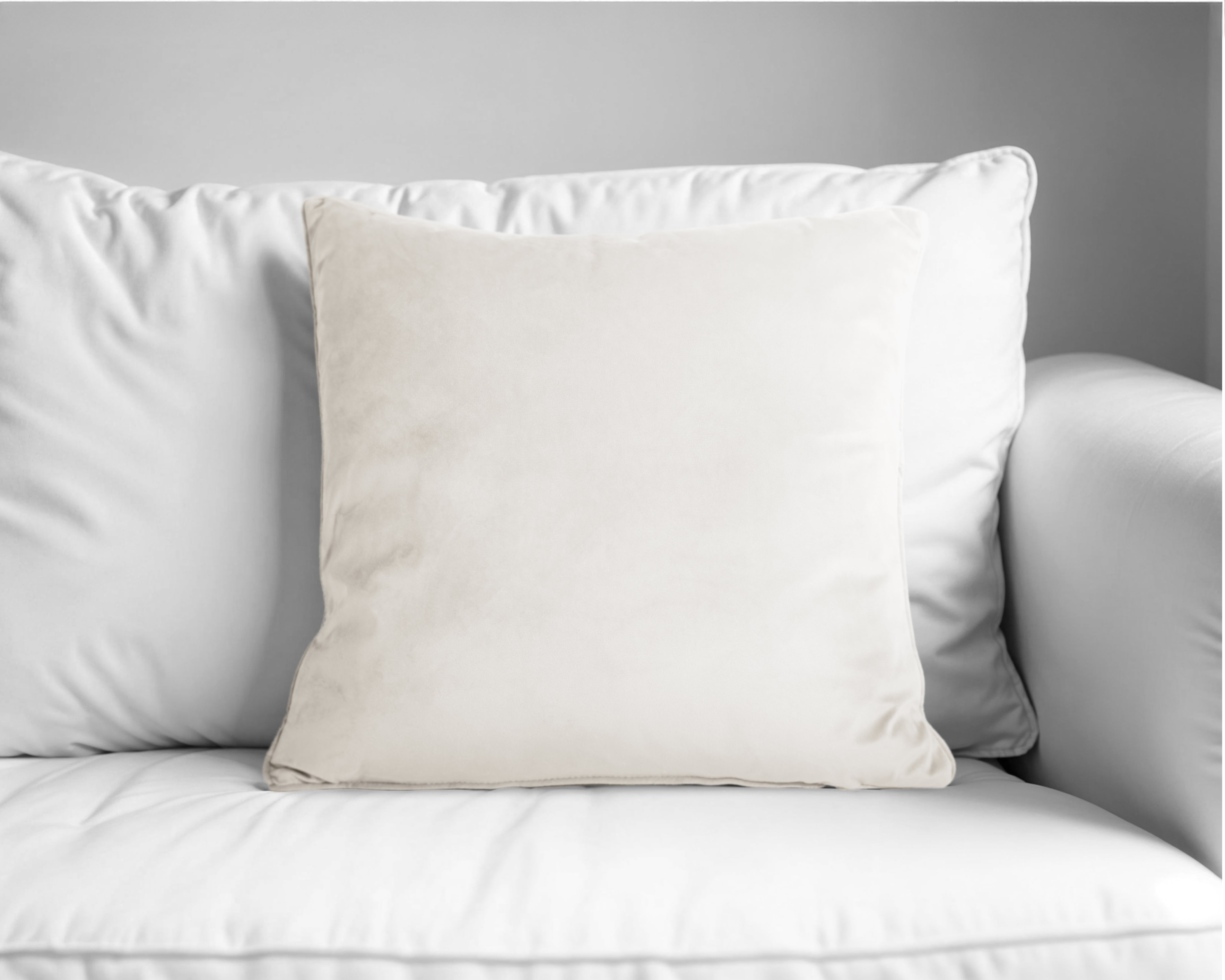 Velvet sierkussen Beige