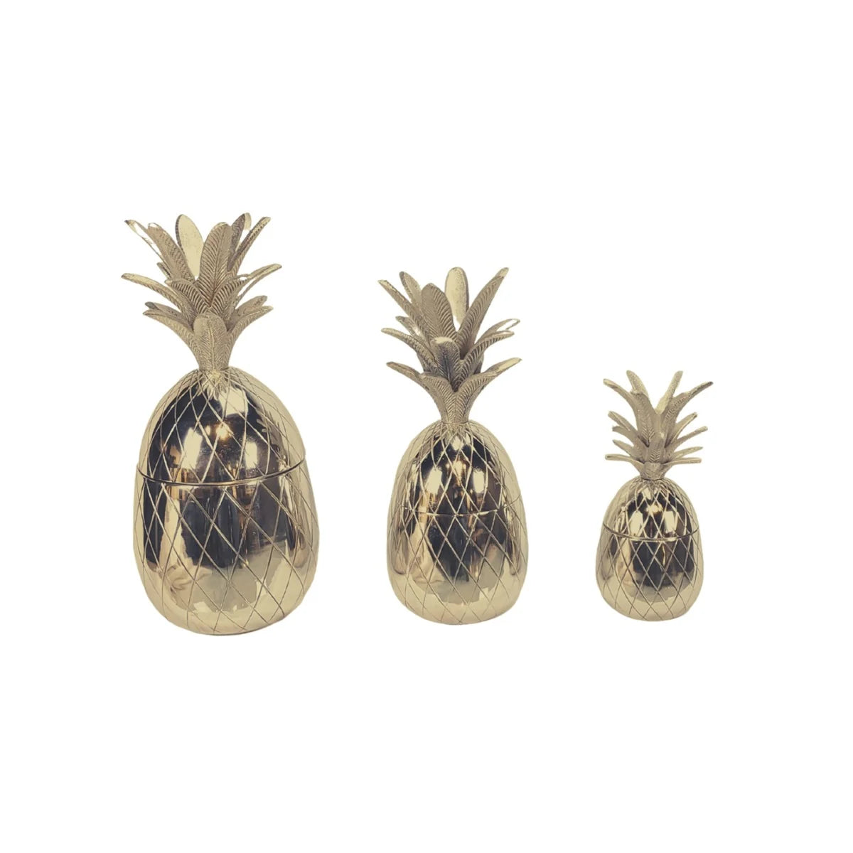 PINEAPPLE set 3 / diverse kleuren