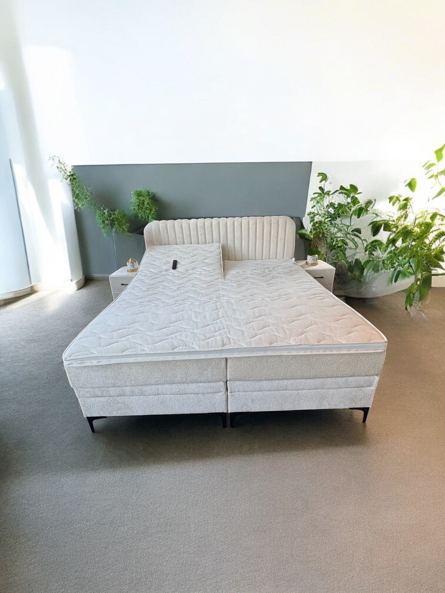 LORIS Premium diverse kleuren