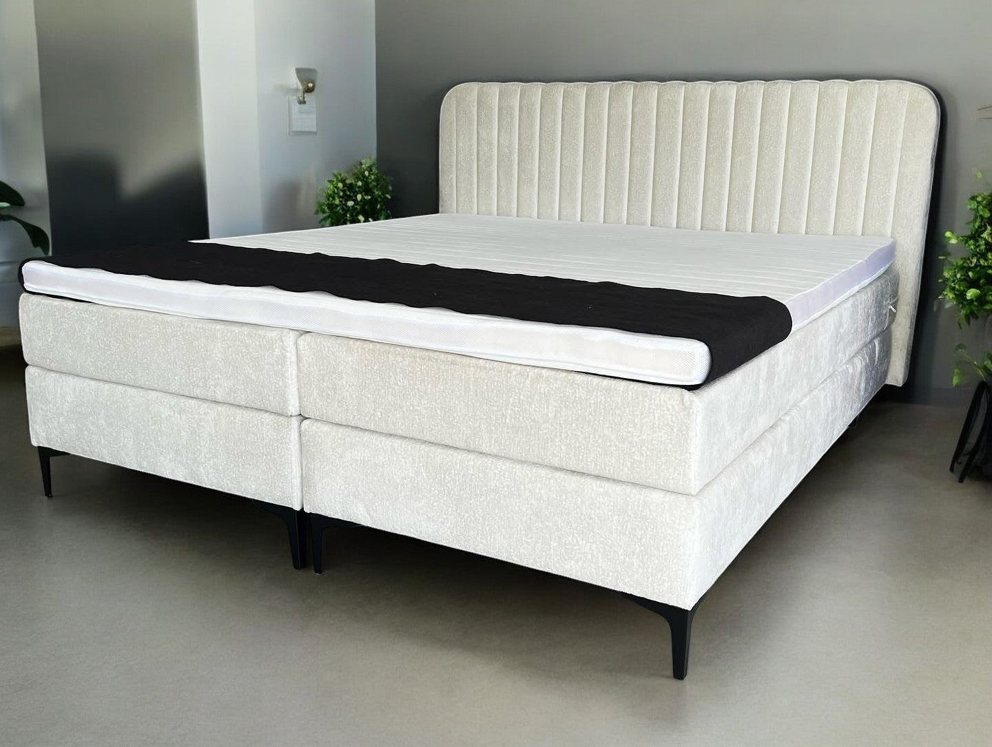 LORIS Basic diverse kleuren